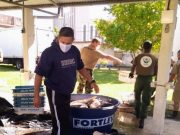 Em época de pandemia a solidariedade toma posse