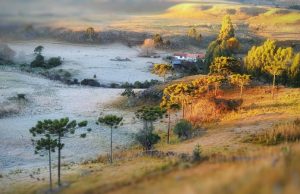 Sol e frio predominam nesta terça-feira em SC
