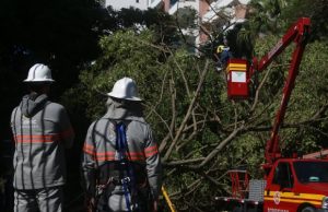 Ciclone em SC: 135 municípios catarinenses registram danos após evento climático
