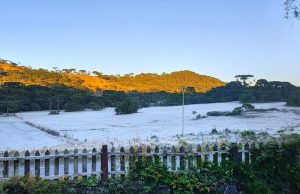 Mínimas chegaram a -8ºC na Serra de SC na manhã desta sexta-feira (3)