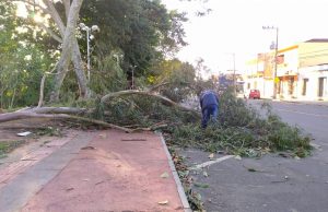 Ventos de 75 km/h causam série de prejuízos em Tubarão