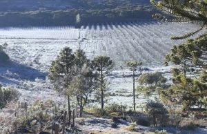 Semana começa com sol e frio em boa parte de SC