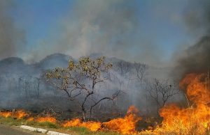 Queimadas irregulares causam danos ao sistema elétrico em SC