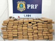116 kg de maconha são apreendidos com motorista na BR-101, em Tubarão