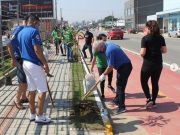 Dia da Árvore: Rotarianos de Tubarão apoiam plantio de mudas de quaresmeira em avenida