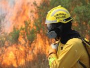 Incêndios florestais: Bombeiros de SC iniciam retorno da Operação Pantanal