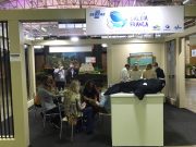 Rota da Baleia-Franca é apresentada em festival de turismo de Gramado