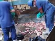 Sem citar de onde, Vigilância Sanitária apreende, em Tubarão, 300 kg de carne fora da norma