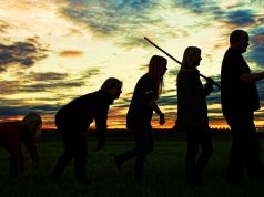 Coluna Léo Rosa de Andrade: ‘Macacos em regeneração’