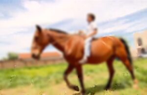 Imbituba: Adolescente de 14 anos fica ferida ao cair de cavalo em trilha