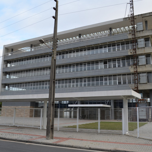 3101750_resample_fixo_500_500