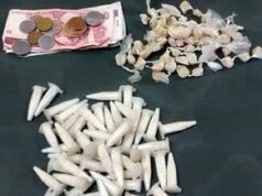Polícia apreende uma adolescente de 16 anos com drogas e dinheiro, em Tubarão
