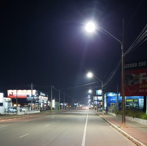 3113080_resize_1500_1500