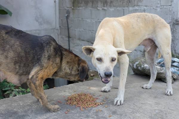 images - 2021-07-01T162455.383