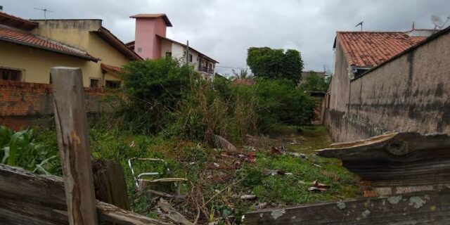 images - 2021-08-03T182830.829