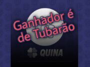 Quina: Aposta de Tubarão leva sozinha prêmio de R$ 5,6 milhões