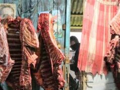 Furtos em estabelecimentos resultam em prisões em Tubarão e Laguna