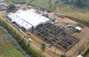 6ª FEIRA AGROPECUÁRIA DE TUBARÃO COMEÇA NESTA QUARTA-FEIRA (22)