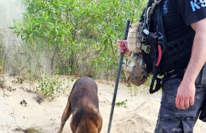 Corpo de Mulher é Localizado em Duna de Balneário Rincão Durante Operação da Polícia Civil