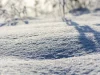 Tubarão tem manhã de frio intenso nesta segunda-feira, com alerta de risco moderado