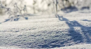 Tubarão tem manhã de frio intenso nesta segunda-feira, com alerta de risco moderado