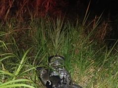 Motorista perde controle da direção e acidente deixa duas pessoas feridas