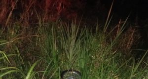 Motorista perde controle da direção e acidente deixa duas pessoas feridas