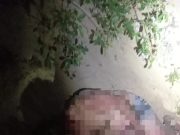 Busca em mata termina com localização de homem de 48 anos em Balneário Rincão