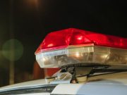 Filha agride a própria mãe e incita cão Pitbull que ataca e morde policial