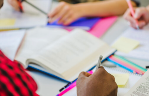 EDUCAÇÃO FAZ CHAMADA PARA PROFESSORES E EDUCADORES SOCIAIS ATUAREM NAS COLÔNIAS DE FÉRIAS