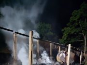 Incêndio atinge aviário em Orleans e causa prejuízo estimado em R$ 600 mil