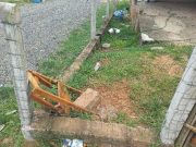 Catadora de recicláveis fica gravemente ferida após ataque de cães pitbulls na Operária