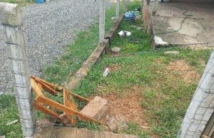 Catadora de recicláveis fica gravemente ferida após ataque de cães pitbulls na Operária