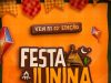 Cartaz oficial da 32ª Festa Junina do Bairro Passagem, em Tubarão (SC). A arte possui fundo laranja com ilustrações de bandeirinhas, balões, girassóis e milho. No centro, o título do evento em destaque e a data de 4 a 14 de junho em uma placa de madeira.