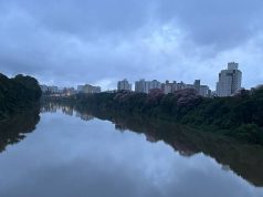 Vista aérea do Rio Tubarão em Santa Catarina, mostrando o reflexo de edifícios e árvores com flores rosas na água sob um céu nublado.