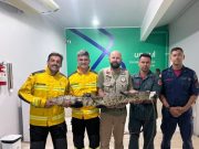 Cinco homens posam para foto no interior do Hospital Veterinário da Unisul segurando horizontalmente um jacaré de porte médio. Entre eles, estão bombeiros militares com uniformes de serviço e um profissional em trajes civis. O jacaré está com a boca protegida por uma fita branca de contenção para segurança. Ao fundo, uma parede branca exibe o logotipo da Unisul com a inscrição "Complexo Veterinário".
