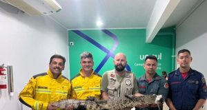 Cinco homens posam para foto no interior do Hospital Veterinário da Unisul segurando horizontalmente um jacaré de porte médio. Entre eles, estão bombeiros militares com uniformes de serviço e um profissional em trajes civis. O jacaré está com a boca protegida por uma fita branca de contenção para segurança. Ao fundo, uma parede branca exibe o logotipo da Unisul com a inscrição "Complexo Veterinário".