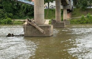 Defesa Civil de Tubarão Limpa Pilares de Pontes para Facilitar Fluxo do Rio