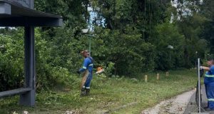 Zeladoria: Prefeitura Intensifica Limpeza e Roçada nas Margens do Rio Tubarão