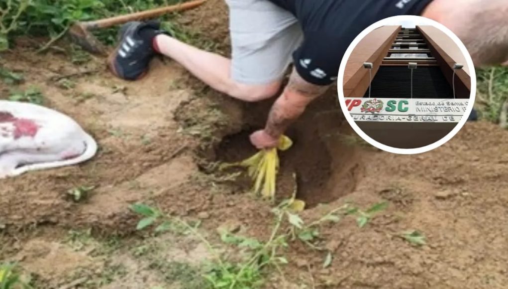 Justiça decreta prisão de suspeitos de matar cães em SC