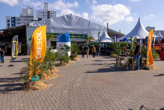 Feira Agropecuária 2026 começa nesta quinta-feira (21) em Tubarão com leilão de 400 animais, desfile de carros de boi e shows