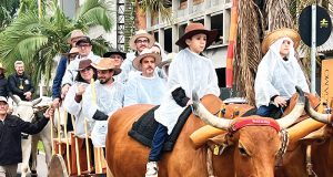 Desfile de Carros de Boi Emociona Tubarão após Mais de 30 Anos: Tradição Renasce no Centro