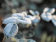 Inverno 2026 Inicia Neste Domingo em Tubarão com Previsão Atípica por El Niño