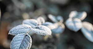 Inverno 2026 Inicia Neste Domingo em Tubarão com Previsão Atípica por El Niño