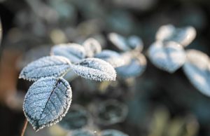 Inverno 2026 Inicia Neste Domingo em Tubarão com Previsão Atípica por El Niño