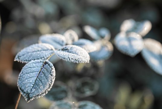 Inverno 2026 Inicia Neste Domingo em Tubarão com Previsão Atípica por El Niño