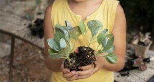 Tubarão Celebra Dia do Meio Ambiente com Educação Ambiental nas Escolas