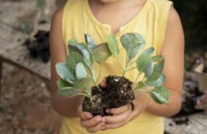 Tubarão Celebra Dia do Meio Ambiente com Educação Ambiental nas Escolas