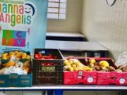 Ceasa de Tubarão Já Doou 11,5 Toneladas de Alimentos em 2026: Banco Fortalece Segurança Alimentar