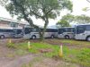 Tubarão inicia transporte coletivo com nova operadora a partir deste sábado